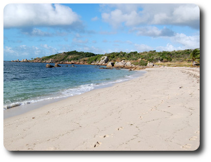 Beach near Cape Weymouth