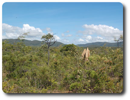 Iron Range NP