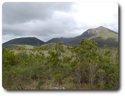 Tozers Gap, Iron Range NP