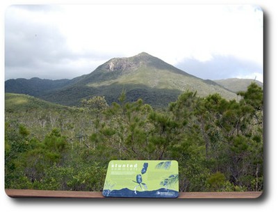 Tozer View, Iron Range NP