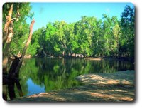 Rinyirru (Lakefield) National Park 