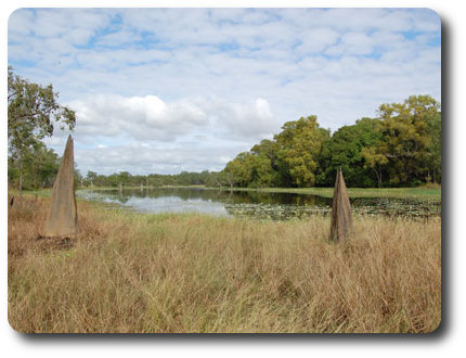 Breeza Lagoon