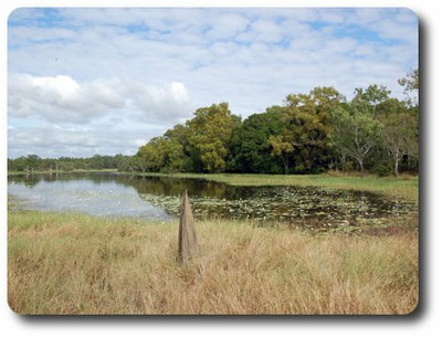 Breeza Lagoon