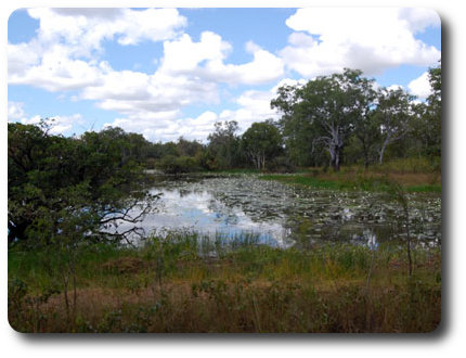 Horse Shoe Lagoon