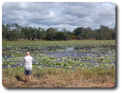 White Lily Lagoon