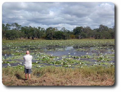 White Lily Lagoon