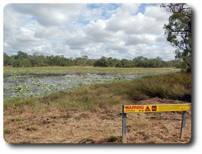 White Lily Lagoon