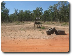 Old Telegraph Track