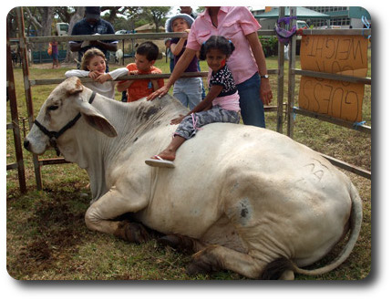 Agricultural Show