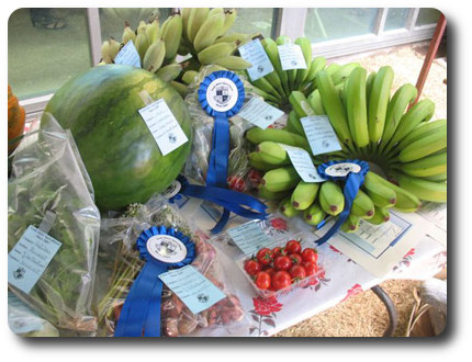 Agricultural Show