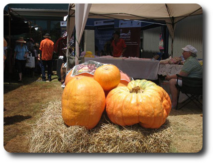 Agricultural Show