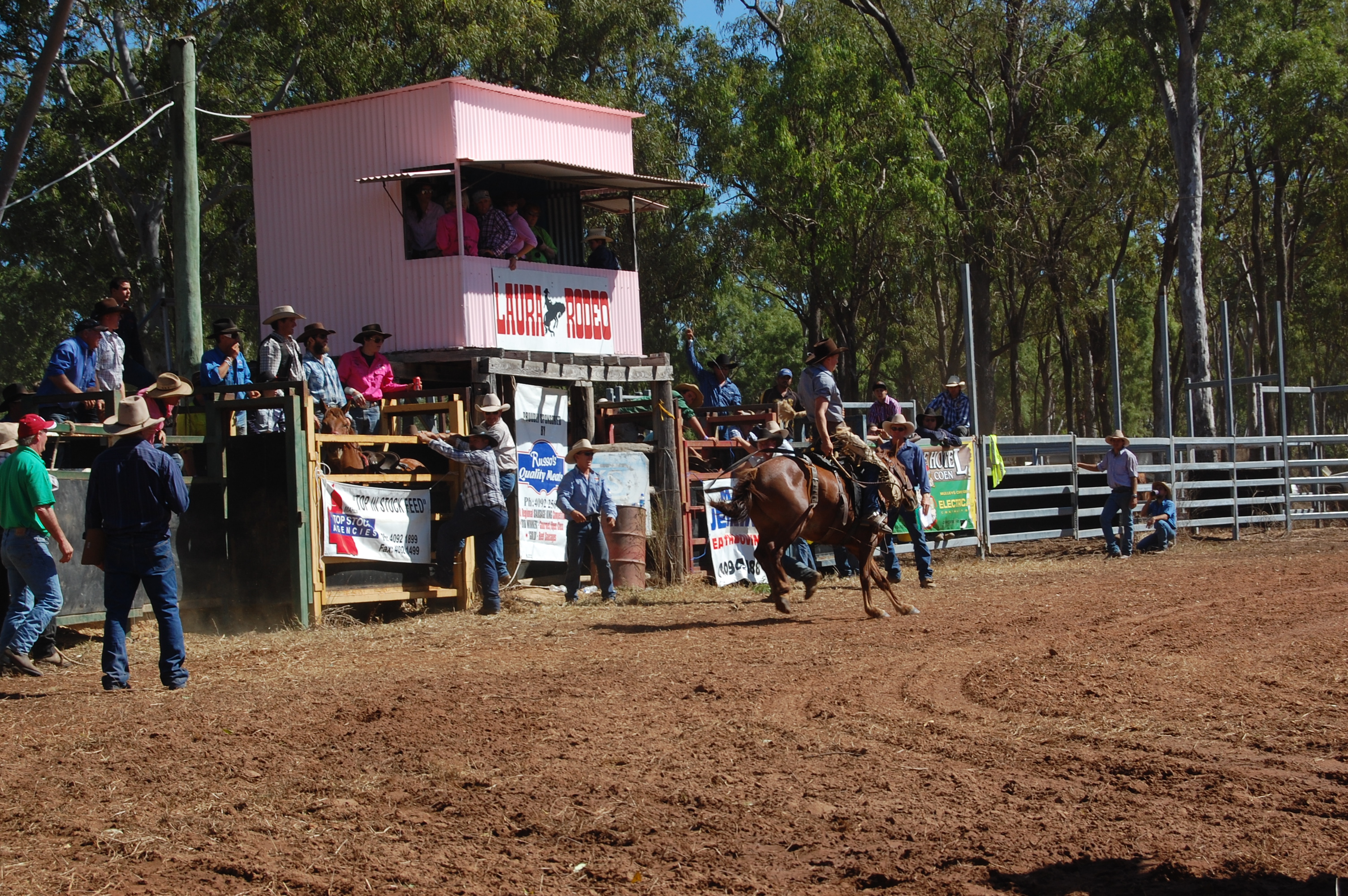 Laura Rodeo 2011