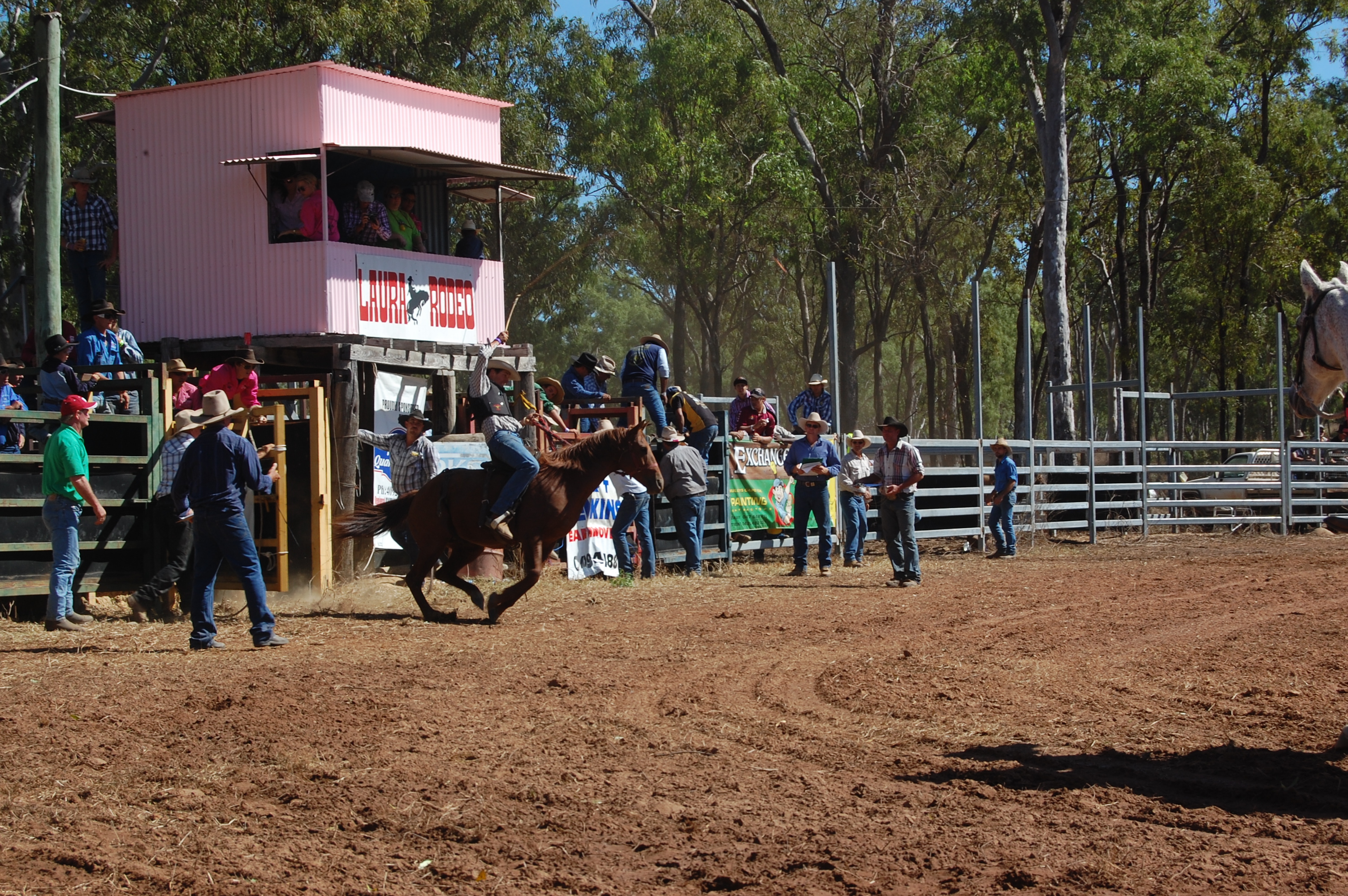 Laura Rodeo 2011