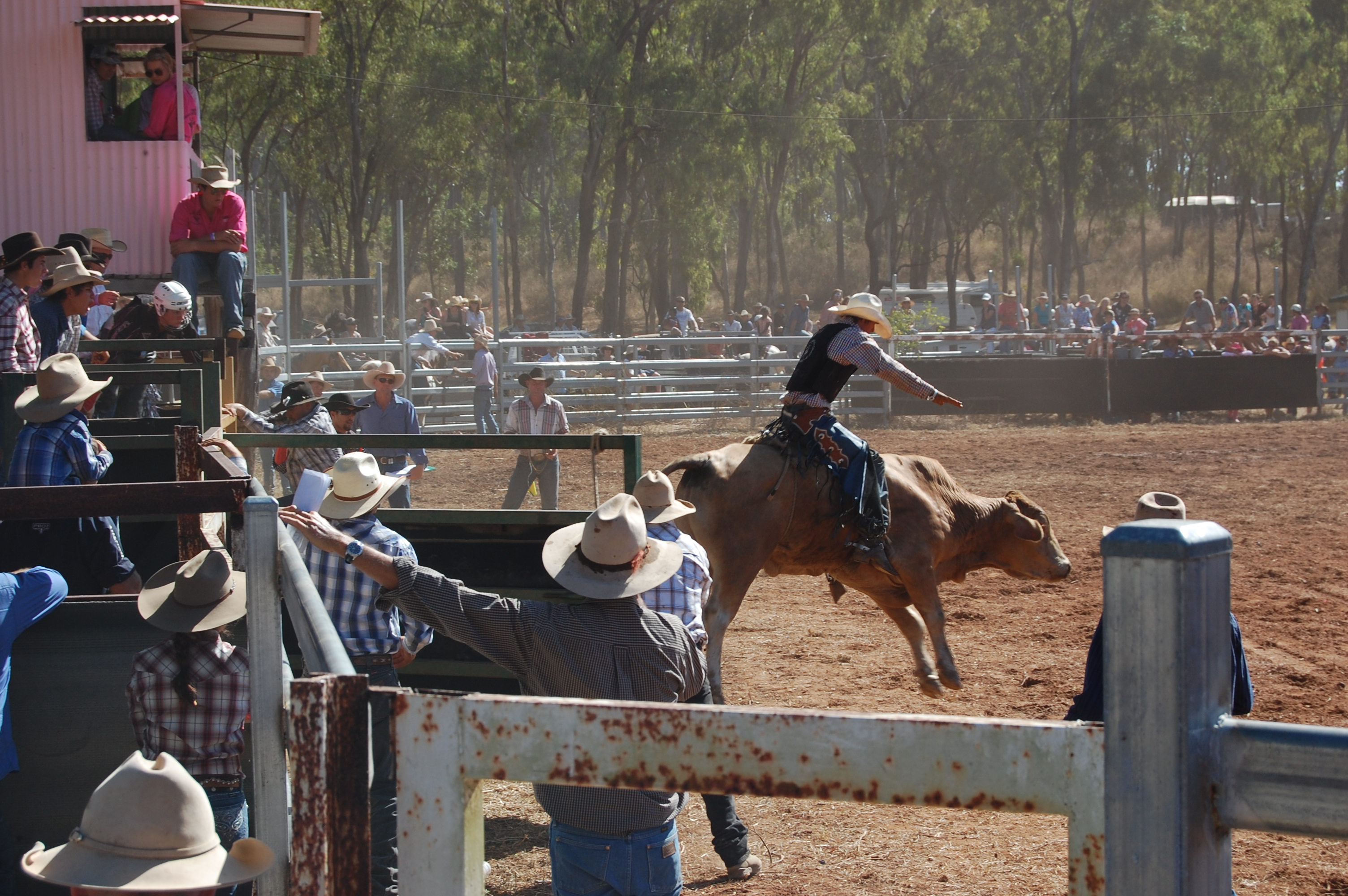 Laura Rodeo 2011