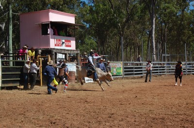 Laura Rodeo 2011