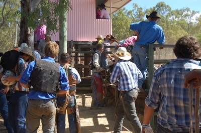 Laura Rodeo 2011