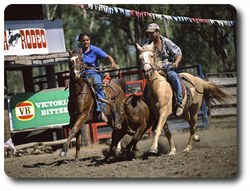 Laura rodeo riders