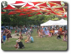 The crowd at the festival