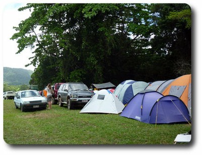 Camping in the rainforest