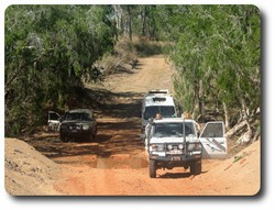 The Old Telegraph Track