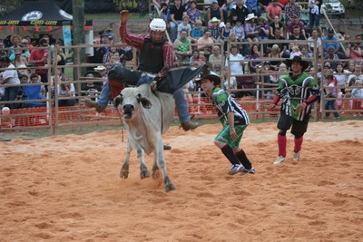 Weipa bullride