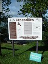  Crocodiles Cooktown  – Be croc wise