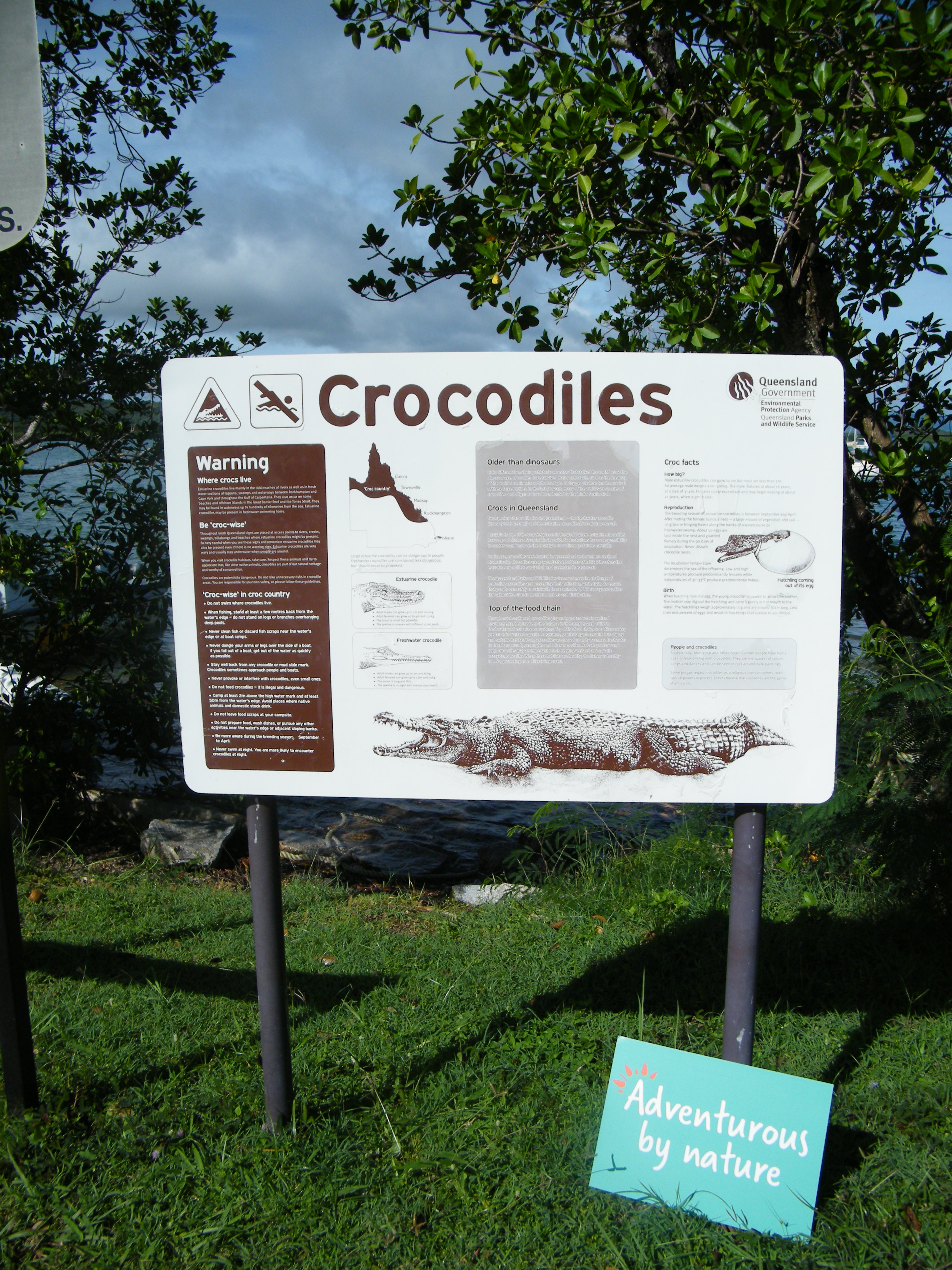 Crocodiles Cooktown