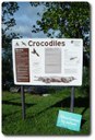  Crocodiles Cooktown  – Be croc wise