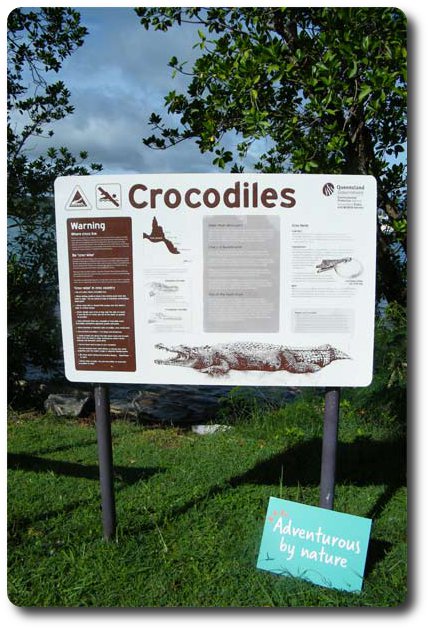 Crocodiles Cooktown