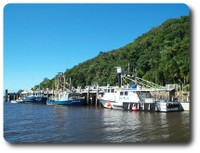 Fishing boats