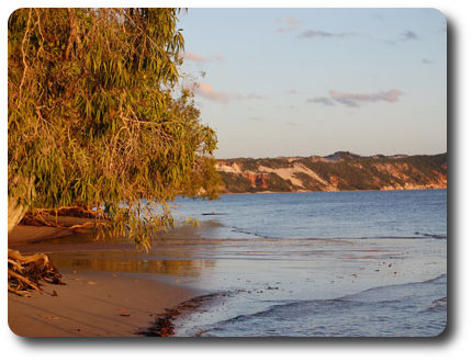 http://www.cooktownandcapeyork.com/go/hopevale/elimcolouredsands.jpg