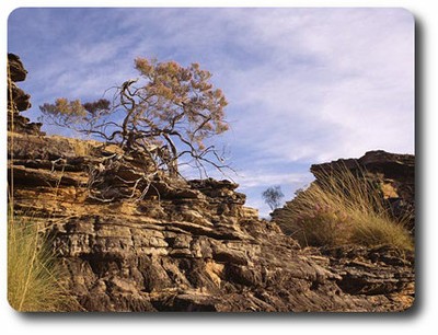 Quinkan rock art site