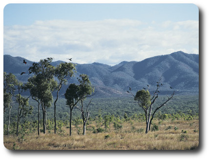 Mountain Ranges, Cape York, Queensland