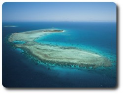 Ribbon Reefs, Queensland. Courtesy of Tourism Queensland