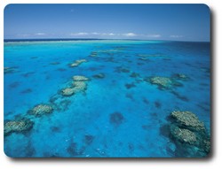 Ribbon Reefs, Queensland. Courtesy of Tourism Queensland
