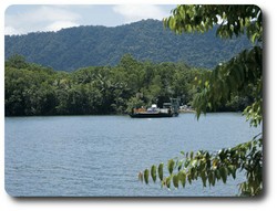 Car ferry, Daintree River. Courtesy of Tourism Queensland