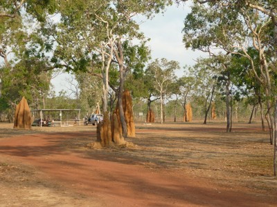 Bramwell Junction Campground