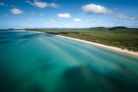 Punsand Bay From Above