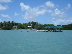 Roko Pearl Farm Torres Straits