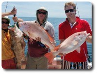 Cooktown Reef Charters