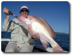 Cooktown fishing