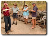 Torres Strait Heritage Tours