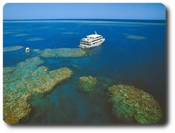 Cruise to Great Barrier Reef